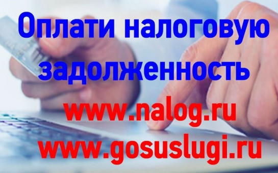 Проверьте  наличие налоговой задолженности и оплатите её. 